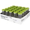 Booster Dose - Covid-19 Vaccination - Moderna Booster