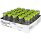 Pfizer (5-11) Booster Dose - COVID-19 Vaccination